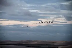 Bando de aves sobre a lagoa ao entardecer em Santo Amaro